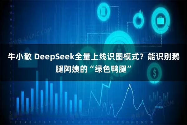 牛小散 DeepSeek全量上线识图模式?能识别鹅腿阿姨的“绿色鸭腿”