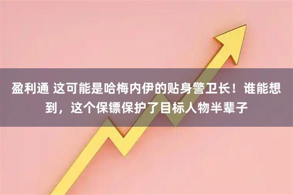 盈利通 这可能是哈梅内伊的贴身警卫长！谁能想到，这个保镖保护了目标人物半辈子