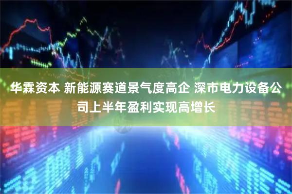 华霖资本 新能源赛道景气度高企 深市电力设备公司上半年盈利实现高增长